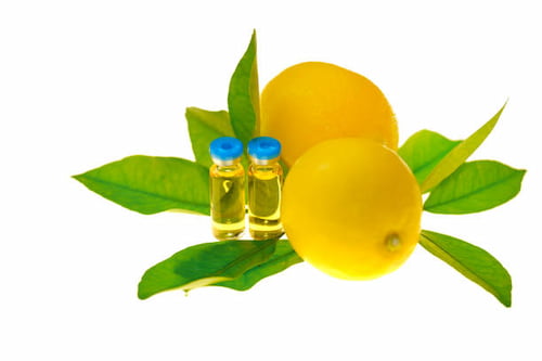 تصویر 2 از قیمت خرید کنسانتره لیمو ترش ایتالیا + فروش ویژه